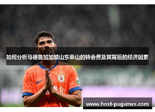 如何分析马德鲁加加盟山东泰山的转会费及其背后的经济因素